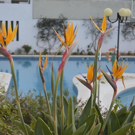 Apartamento Proximo Da Marina Vilamoura C/Piscina E Estacionamento エクステリア 写真
