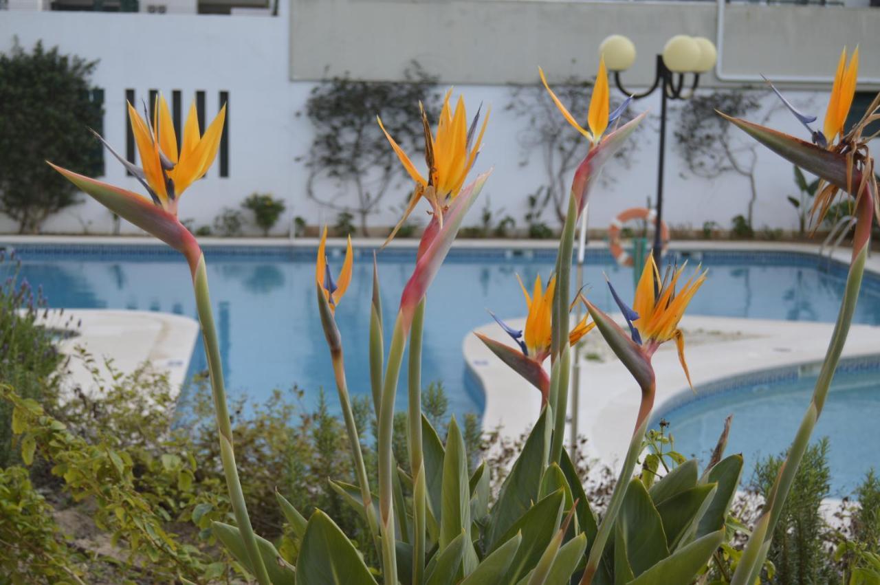 Apartamento Proximo Da Marina Vilamoura C/Piscina E Estacionamento エクステリア 写真